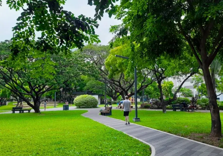 Legazpi Active Park Sunday Market