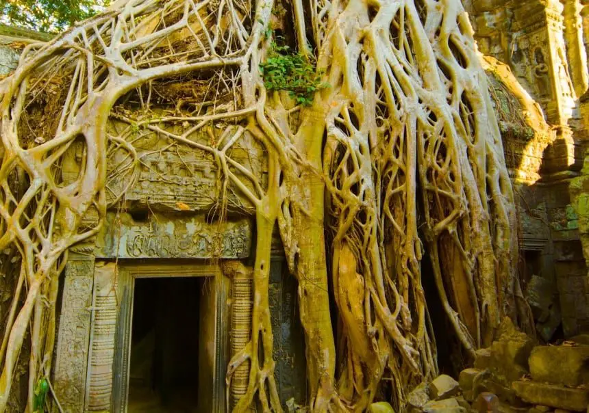 Ta Prohm