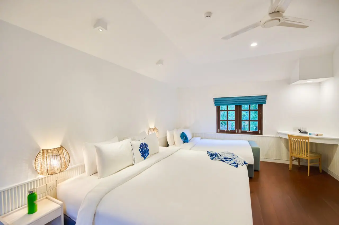 ทรีโอ-ฮัท14