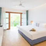 เต่า-ที่หลบซ่อน