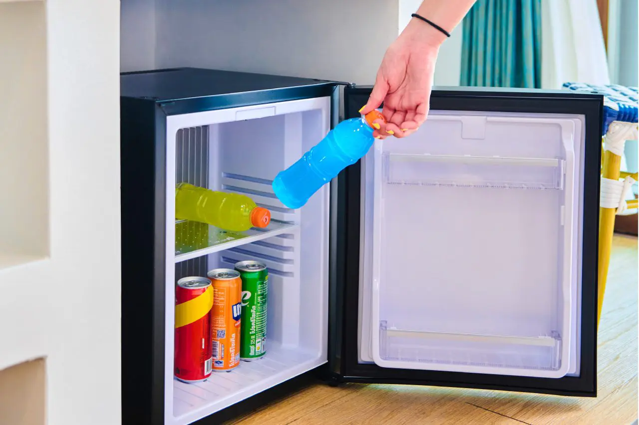 เต่า-ที่หลบซ่อน16