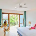 เต่า-ที่หลบซ่อน17