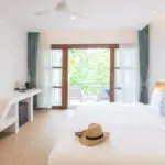 เต่า-ที่หลบซ่อน