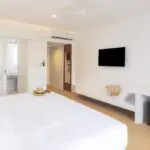 เต่า-ที่หลบซ่อน