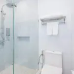 เต่า-ที่หลบซ่อน