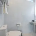 เต่า-ที่หลบซ่อน