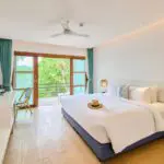 เต่า-ที่หลบซ่อน