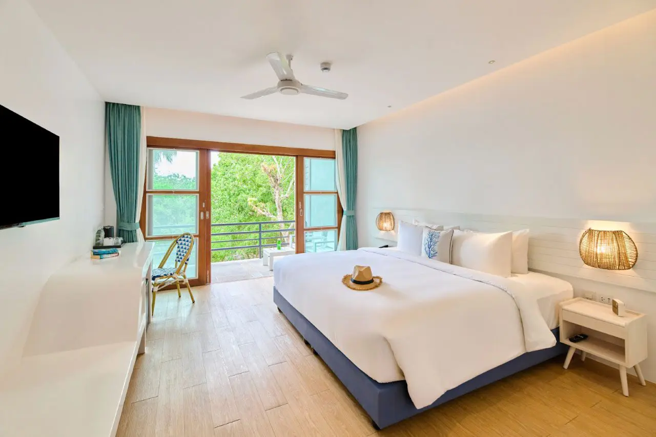 เต่า-ที่หลบซ่อน