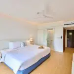 เต่า-ที่หลบซ่อน