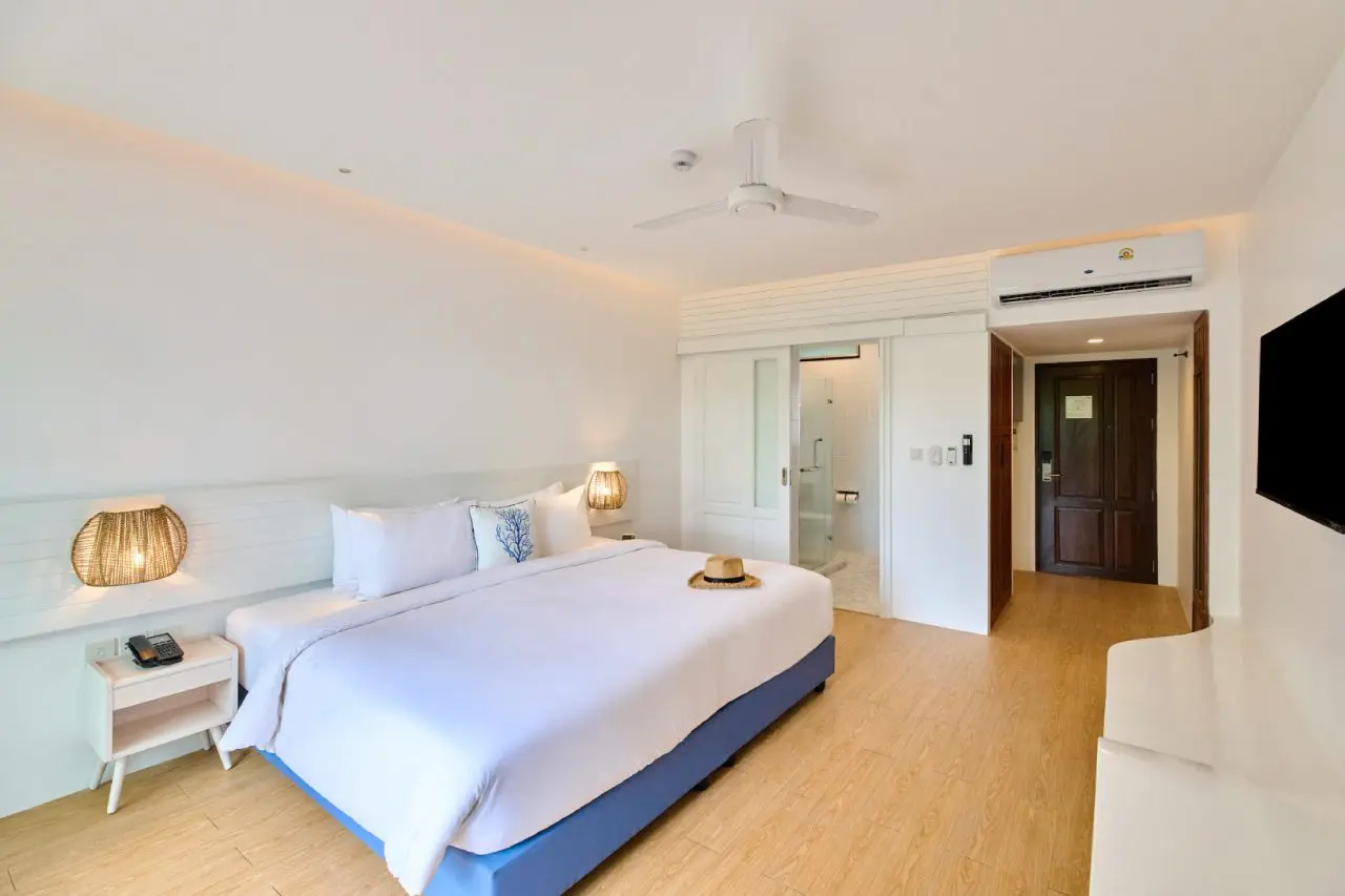 เต่า-ที่หลบซ่อน