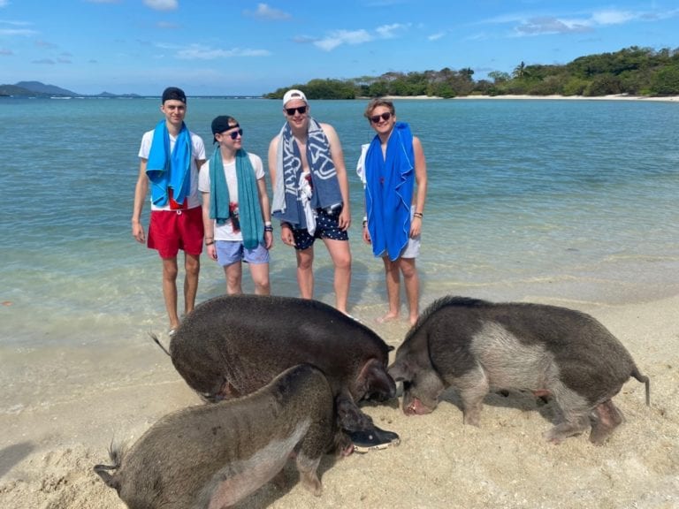 The Story of Pig Island Lub d