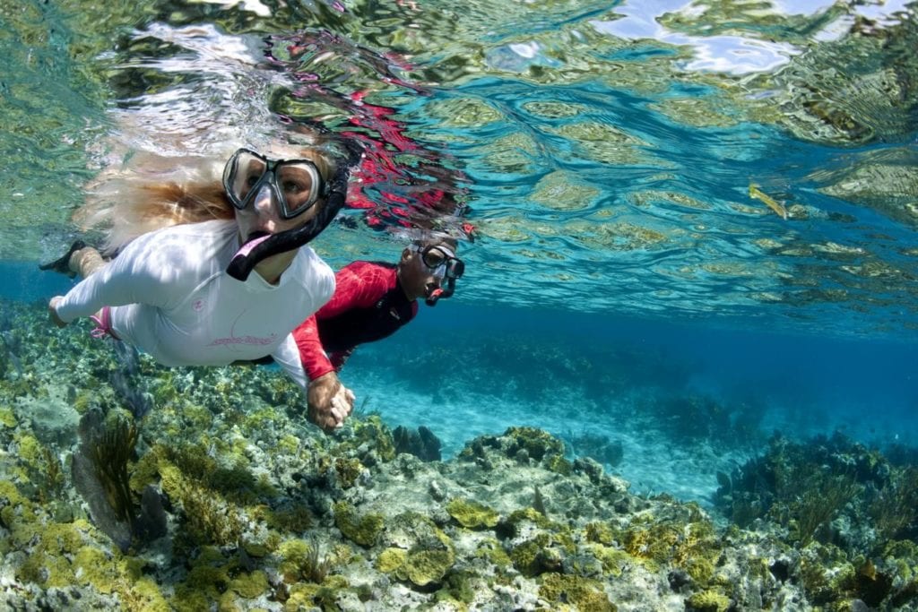 Snorkeling in the area