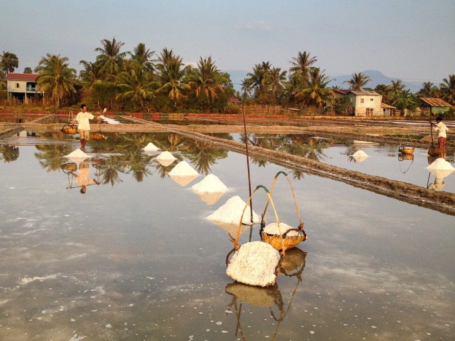 salt fields kampot cambodia