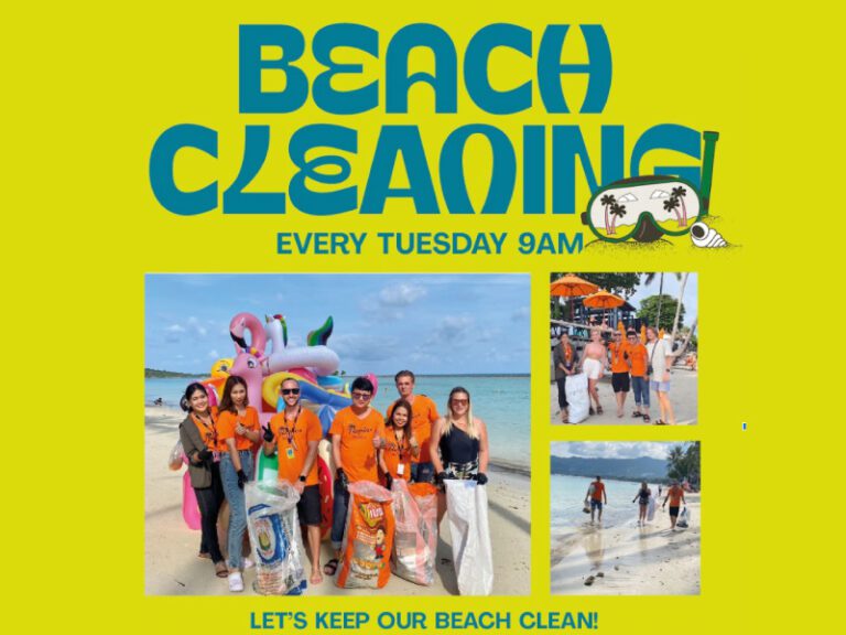 Beach-Cleaning-SM