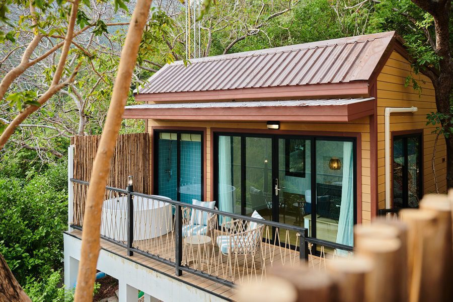 ต้นไม้บนยอด_ผลลัพธ์