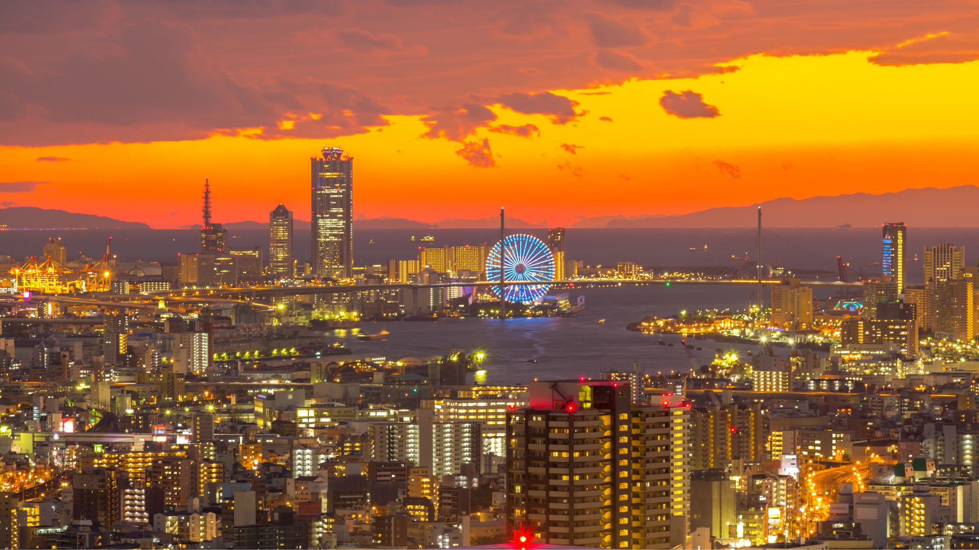 How Much a Trip to Osaka Will Cost on a Budget or in Style 2 flight osaka